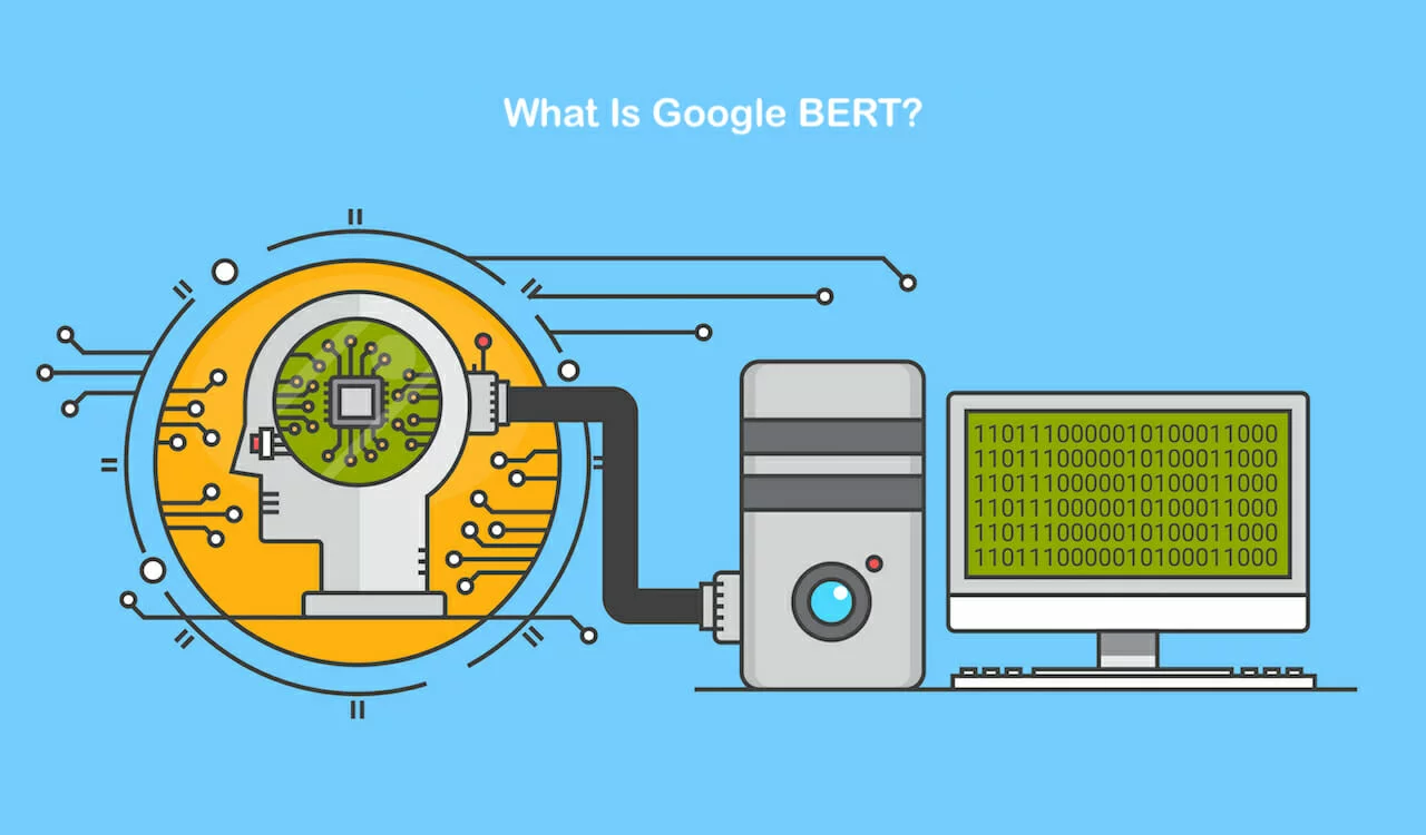 optimisation seo et Google Bert